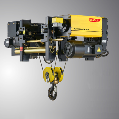 220V-480V सिंगल/डबल स्पीड वेरिएबल फ्रीक्वेंसी चेन लिफ्ट 0.2-37KW मोटर पावर